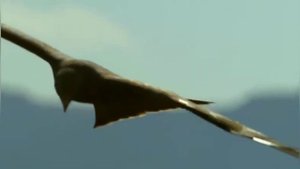 Сарафан... 🌼❤Зоя Ященко. ☀