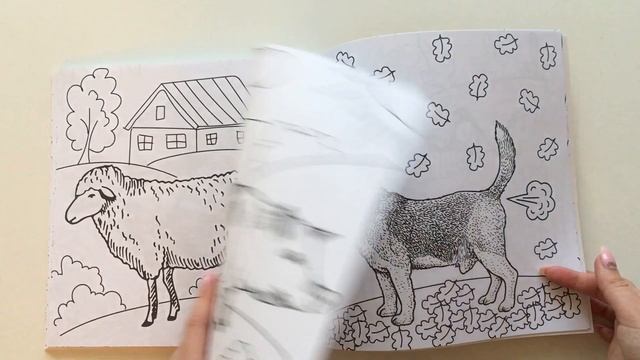 Обзор раскраски «Пук-book» Пук-бук// Самая неоднозначная раскраска смотреть онлайн