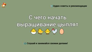 С чего начать выращивание цыплят в домашних условиях для начинающих с нуля
