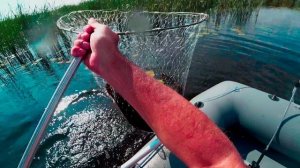 Щука на Свимбейт