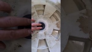 Замена подшипников стиральной машины Haier HW60-10636A