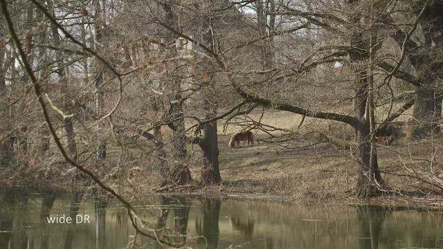 Canon EOS C100 MKII - first test смотреть онлайн