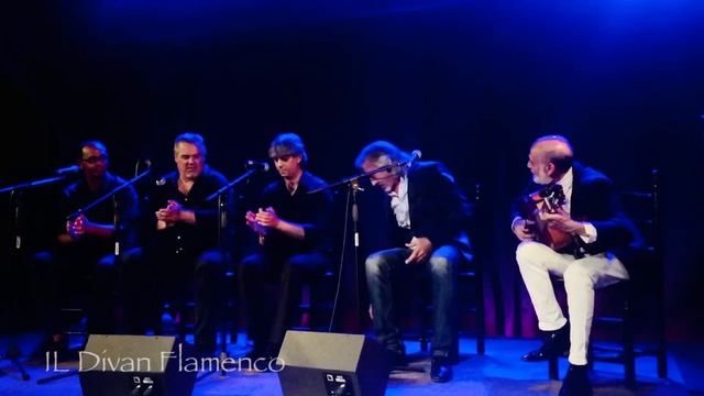 Capullo de Jerez смотреть онлайн