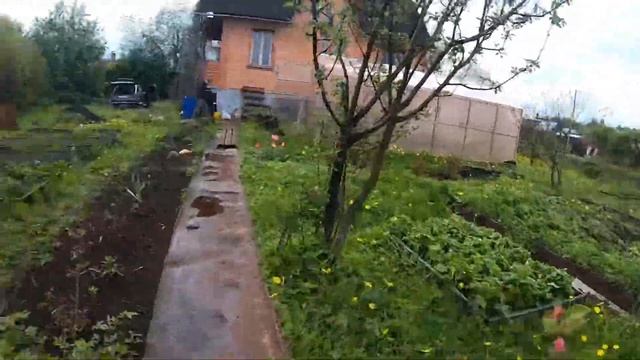 ДАЧА 28 МАЯ 2022г. ВСЕ В ОДУВАНЧИКАХ ?#дача #влог #обзор #огород смотреть онлайн