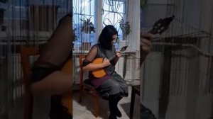 Жюль Стайн. То что было с нами летом, я буду помнить всю долгую зиму. Домра.