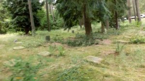 ГСВГ.Кладбище  Советских воинов близ Potsdam (Russischer Friedhof Michendorfer Chaussee) 25.06.2020