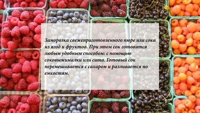 Заморозка ягод и фруктов смотреть онлайн