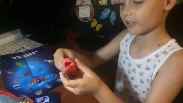 Big Animal World Лидсихтис Морская улитка Ромбовидная пиранья смотреть онлайн