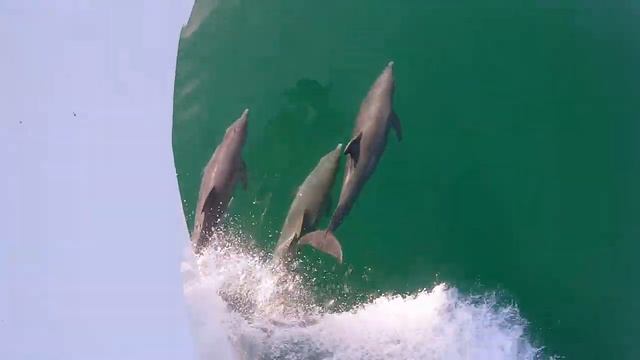 Florida Отдых во Флориде