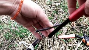 Как сделать двухсортовую яблоню//Как привить взрослую яблоню//Как перепривить плодовое дерево