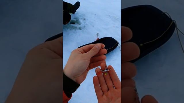 Уловистый балансир на окуня#fishing #ловляокунязимой #окуньнаблесну #окуньнабалансир#снасти #врек