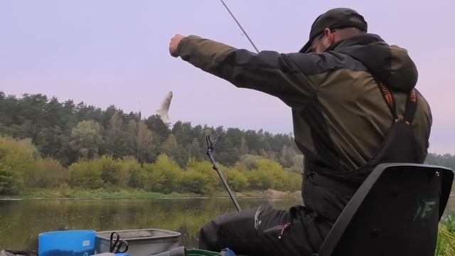 Осенняя ЛОВЛЯ ФИДЕРОМ на РЕКЕ. Красивые ПОКЛЁВКИ. Рыбалка в Беларуси 2020. смотреть онлайн
