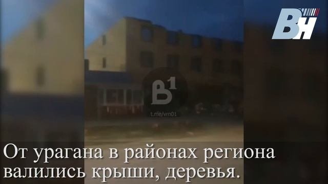 В Воронежской области показали последствия сильного ветра