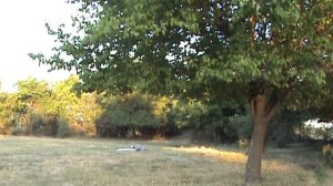 Шамшад Абдуллаев "Фрагмент"