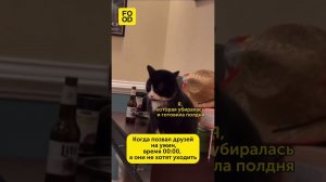 Когда позвал друзей #рецепты #юмор #жизненно #мемы #еда #прикол