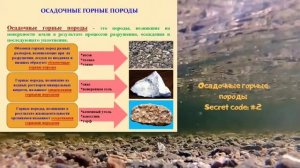 Осадочные горные породы