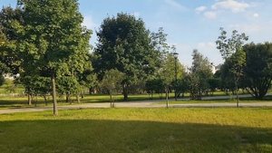 ТРОГАТЬ ВЕДЬМУ, СЕБЕ ДОРОЖЕ. ВЕДЬМИНА ИЗБА  ИНГА ХОСРОЕВА