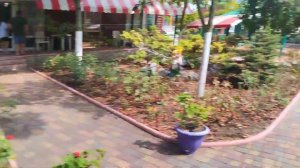 отель папая Крым феодосия