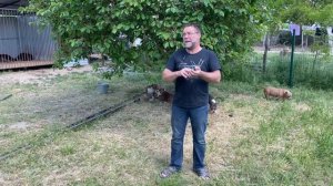 Дом в КРЫМУ до 1 млн рублей - сейчас такой дом в Крыму еще купить МОЖНО