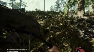 когда скучно в THE FOREST