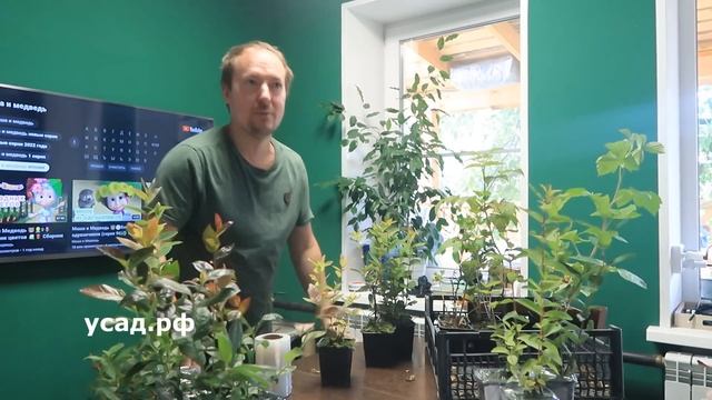 Как мы рожали с отрицательным резусом после 40 смотреть онлайн