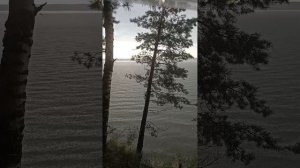 Сазан, обское море ч3