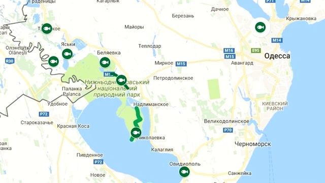 Запрет на рыбалку в 2022 году и где можно ловить смотреть онлайн