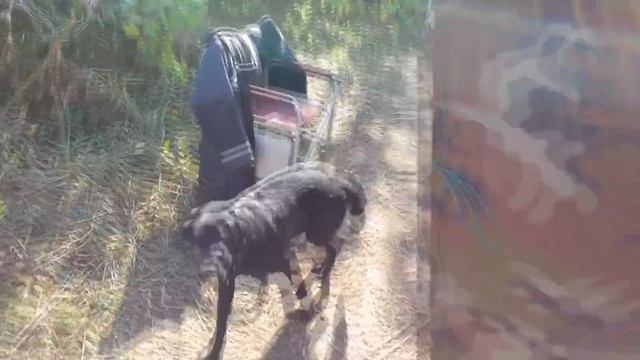 На рыбалку с удобствами. Обзор нашего лагеря. смотреть онлайн