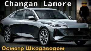 Stas N:  Changan Lamore "Осмотр Шкодаводом"  (2024)