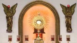 (LIVE) Divine Mercy Healing Adoration | Fr Augustine Vallooran | 01 May | Divine Colombo