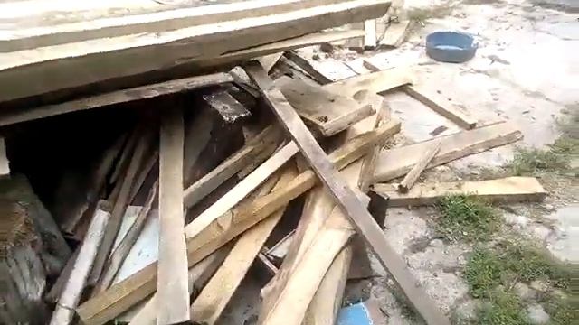 Пилить дрова . Бензопила или электропила ?