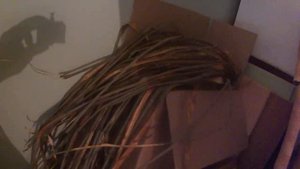 станок для нарезки бересты заготавливаем, расслаиваем, нарезаем и храним на лапти!