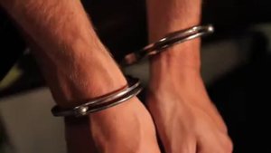 Скотоложество. Вся правда.