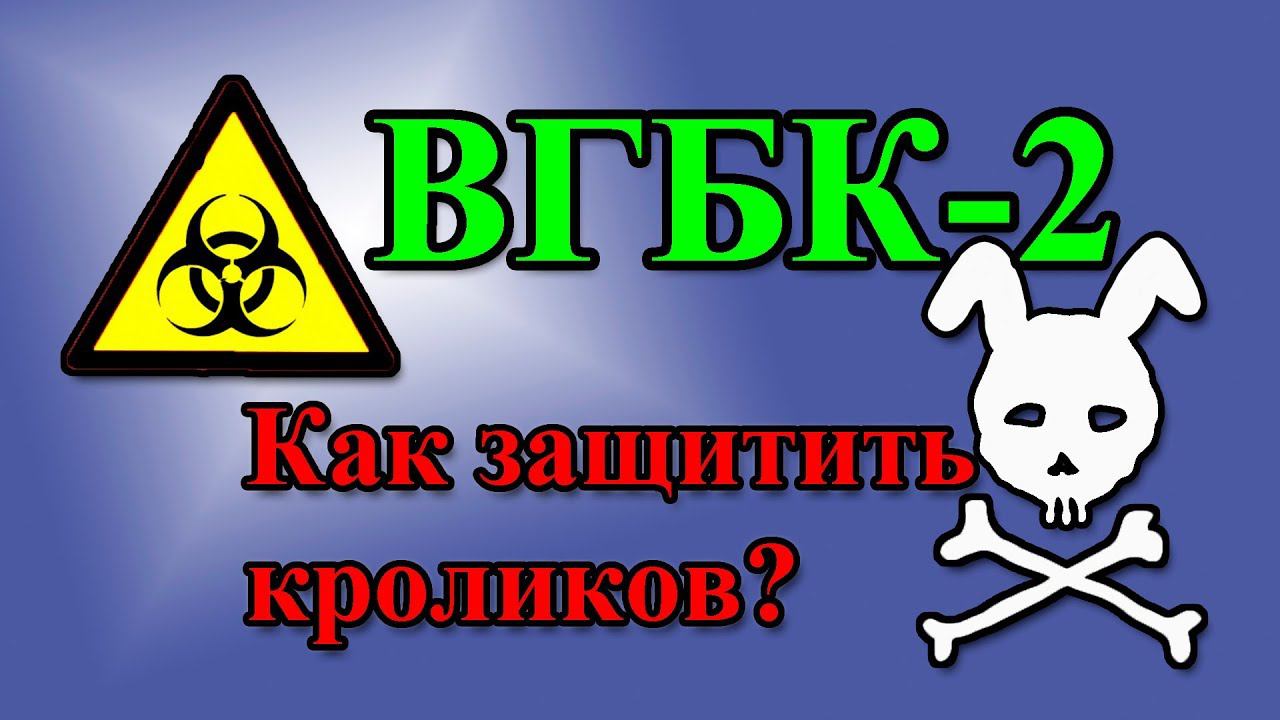 ВГБК-2 (RHDV2, RHDVb) Как будем защищать кроликов?