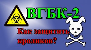 ВГБК-2 (RHDV2, RHDVb) Как будем защищать кроликов?