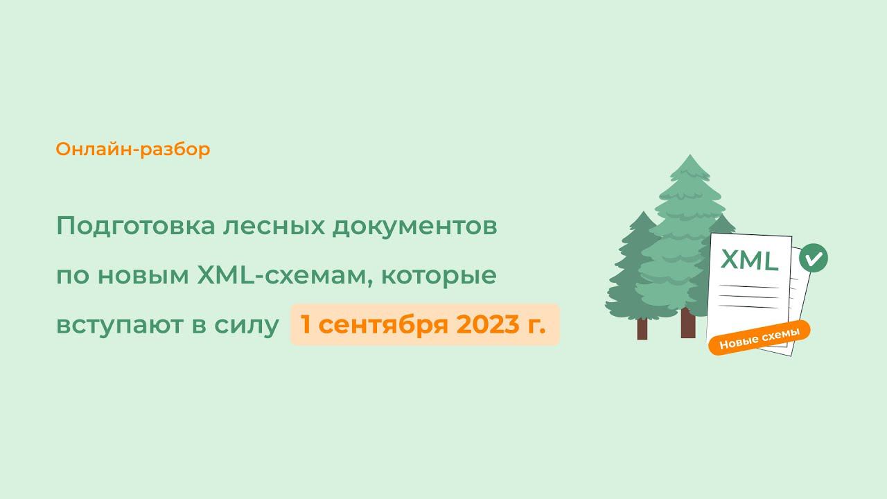 Подготовка лесных документов по новым XML-схемам, которые вступают в силу 1 сентября 2023 г.