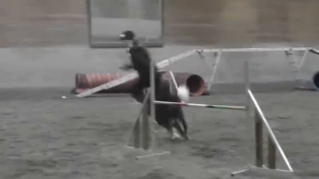 Cody Training смотреть онлайн