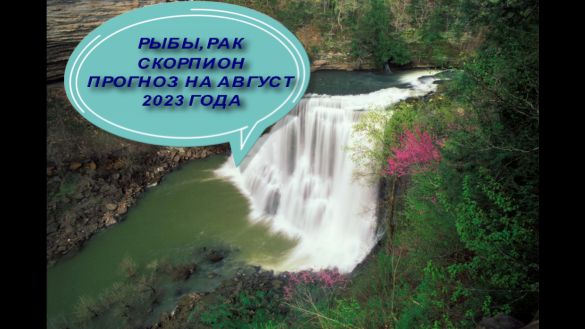 Рыбы,рак, скорпион общий таро-прогноз на август 2023 года