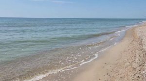 Мариуполь#Осетр в Азовском море 1.06.22г