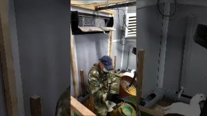 Вторая неделя гаважа. Утки стали спокойнее. Откорм секции из 15 уток с помощью аппаратов АГР-Мулард