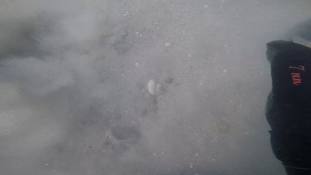 Подводный поиск с Minelab CTX3030 смотреть онлайн