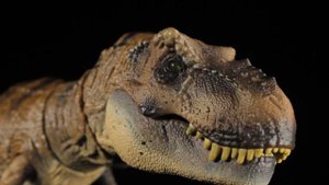 Jurassic World Hammond Collection Tyrannosaurus Rex Review