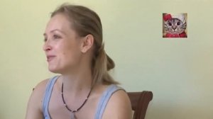 Гипоаллергенные кошки породы невская маскарадная: характер и уход. Видео