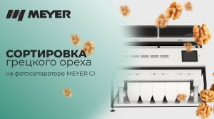 Сортировка и очистка грецкого ореха от скорлупы на фотосепараторе MEYER CI