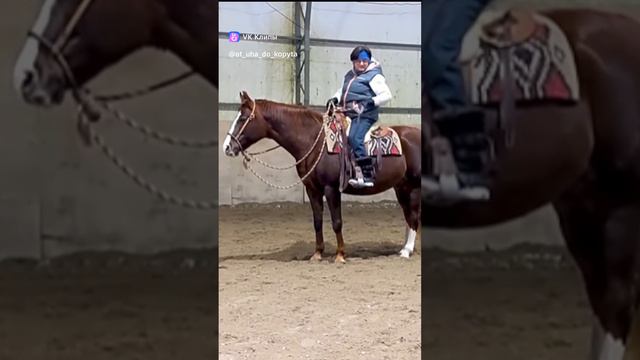Как научить лошадь нормально разворачиваться на заду