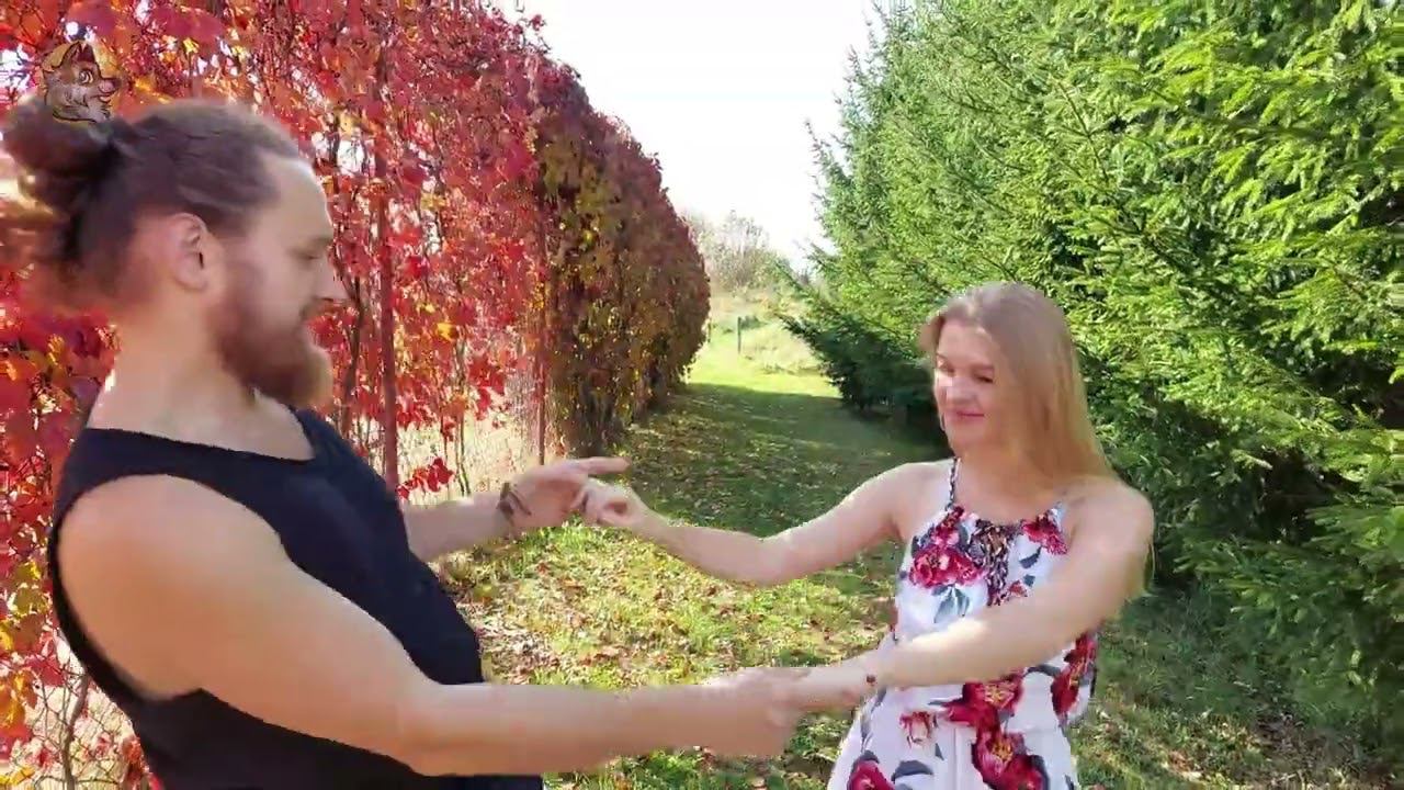 ОСЕННИЕ ЛИСТЬЯ - Валентина ТОЛКУНОВА - (не вальс) смотреть онлайн