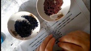 Паук из бисера для Начинающих!