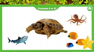 Морские жители🐙🐠🐡🐬🐋🦈. Малыш учит. Играем вместе. Игрушки и игры с детьми.