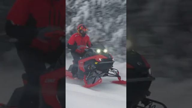 Which type of Lynx Snowmobile rider are you?