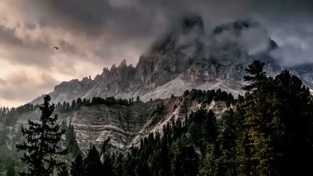 Муж долгое время изменял жене без зазрения совести  Но бумеранг не заставил себя долго ждать… смотреть онлайн